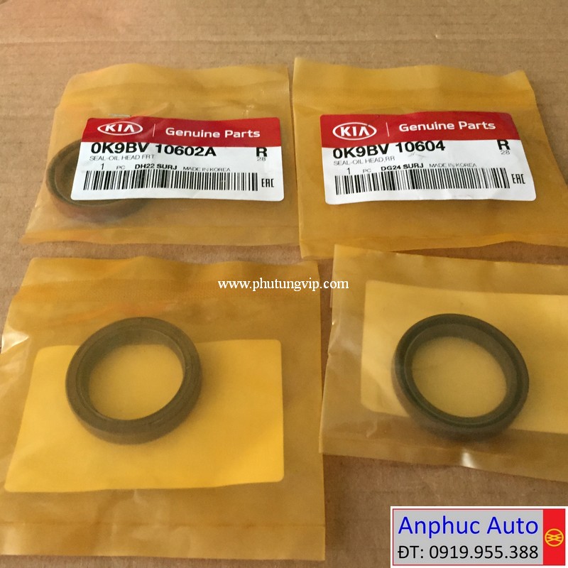 phot-cot-cam-Kia-Carnival-K5-0K9BV10602A-0K9BV10604.jpg
