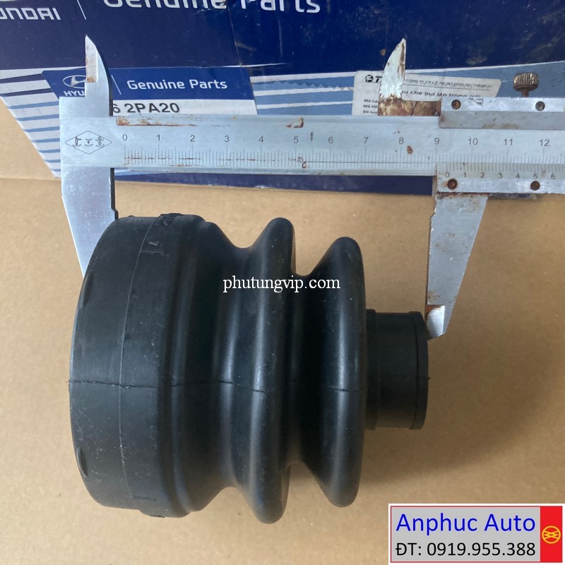 chup-bui-lap-trong-santafe-495062PA20.jpg