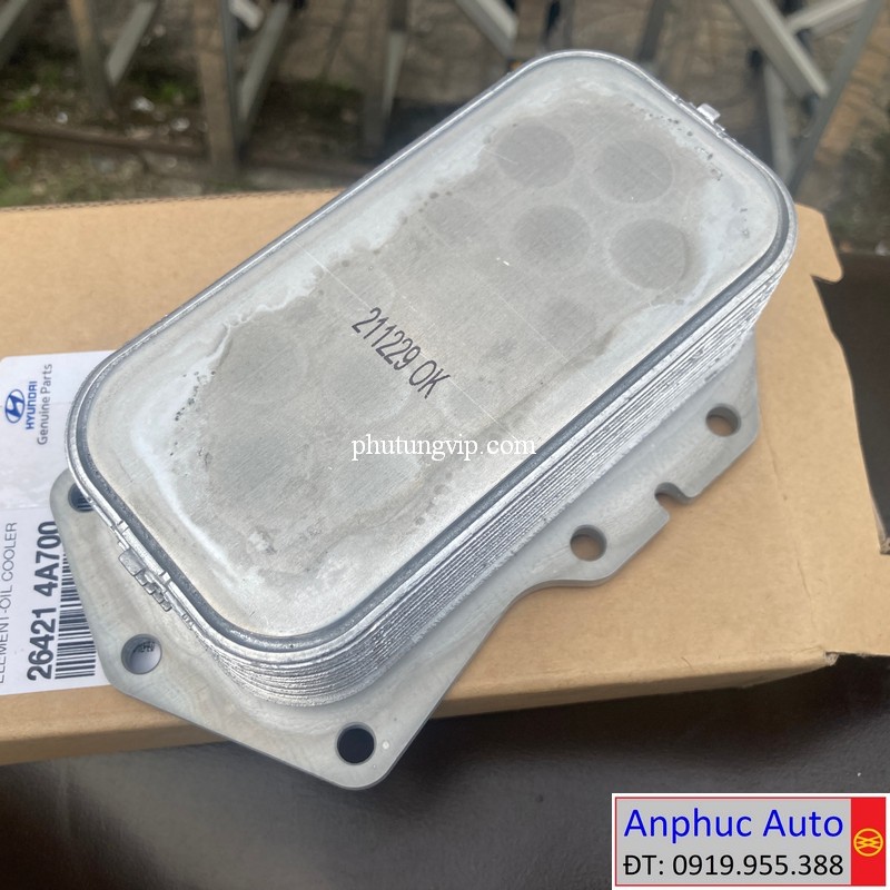 ruot-xuong-han-nhot-solati-2019-264214A700.jpg