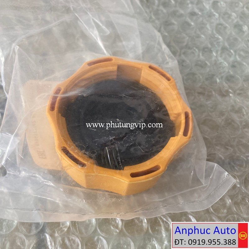 nap-binh-nuoc-phu-Chevrolet-Captiva-2009-94539595.JPG