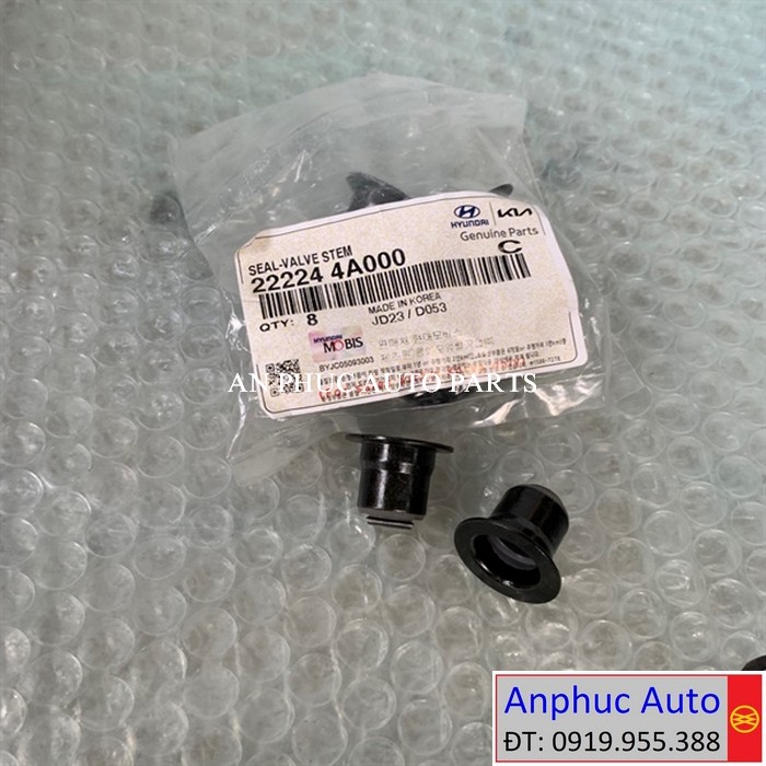 phot-gip-Solati-Starex-22224-4A000.jpg