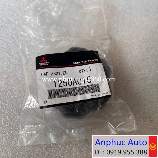 nap-do-dau-nhot-boi-dong-co-mitsu-Pajero-1250A015.jpg